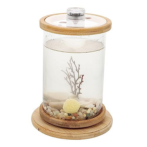 Supvox 1 Satz Kreatives Desktop Aquarium aus Hochwertigem Rundes Fischbecken mit LED Beleuchtung für Mikro Landschaften und Bürozubehör als für Familie und Freunde Supvox 1 Satz Kreatives Desktop Aquarium aus Hochwertigem Rundes Fischbecken mit LED Beleuchtung für Mikro Landschaften und Bürozubehör als für Familie und Freunde von Supvox