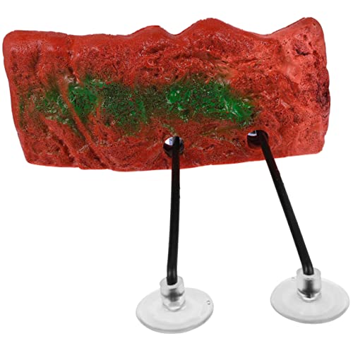 Supvox Hebespielplatz für Schildkröten Ruheplattform für Schildkröten 20 X 9 cm Rote Sonnenplattform Schildkrötenzubehör für Die Dekoration Von Schildkrötenbecken Supvox Hebespielplatz für Schildkröten Ruheplattform für Schildkröten 20 X 9 cm Rote Sonnenplattform Schildkrötenzubehör für Die Dekoration Von Schildkrötenbecken von Supvox