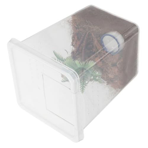 Supvox Reptilienzuchtbehälter Für Springspinnen Transparente Insektenzuchtbox Kleines Spinnengehege Sicheres Terrarium Für Haustiere Einfache Reinigung Fluchtsicher von Supvox
