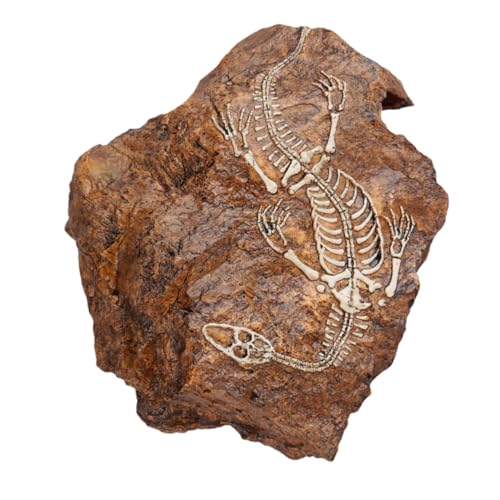 Supvox 1 Stück Aquarium Skull Ornament Dekoration für Fischbecken Versteck für Fische Kunstharz Fischtank Landschaft Natürliches Terrarium Zubehör Supvox 1 Stück Aquarium Skull Ornament Dekoration für Fischbecken Versteck für Fische Kunstharz Fischtank Landschaft Natürliches Terrarium Zubehör von Supvox