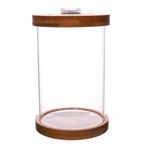 Supvox 1 Stück Mini LED Fischglas mit Elegantem Bambusdeckel und Hochborosilikatglas Dekorativer Tisch Aquarium für Einfache Fischbeobachtung Langlebig und Tragbar Supvox 1 Stück Mini LED Fischglas mit Elegantem Bambusdeckel und Hochborosilikatglas Dekorativer Tisch Aquarium für Einfache Fischbeobachtung Langlebig und Tragbar von Supvox