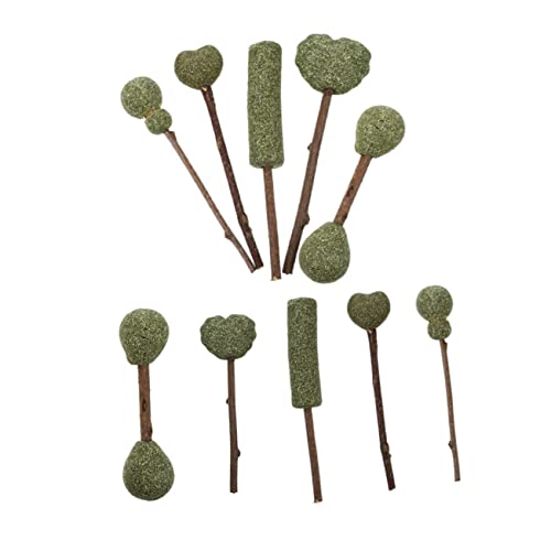 Supvox 10 Stück Teiliges Catnip Sticks Katzenminze Lutscher Katzenspielzeug Fördert Interaktion und Bewegung Natürlicher Katzensnack für Katzen Langlebig und Geruchsintensiv von Supvox