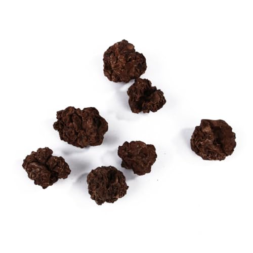 Supvox 10St Kauball für Haustier pet Mate pet Supplies haustierbedarf clean cat Toy Kauspielzeug für Katzen Spielzeug reinigen Pet-Ball-Spielzeug Kauball für Katzen Backenzahn Obst Supvox 10St Kauball für Haustier pet Mate pet Supplies haustierbedarf clean cat Toy Kauspielzeug für Katzen Spielzeug reinigen Pet-Ball-Spielzeug Kauball für Katzen Backenzahn Obst von Supvox
