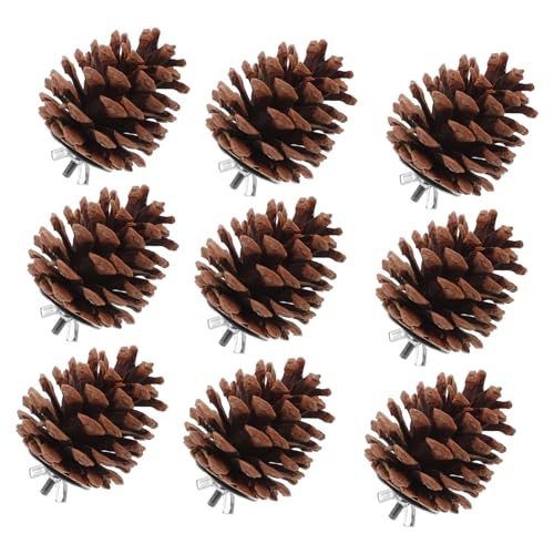 Supvox 10stücke Vogel Futtersuchspielzeug Natürliche Kauspielzeug Für Vögel Hängendes Beißspielzeug Material Papageienspielzeug Pet Spielzeug Supvox 10stücke Vogel Futtersuchspielzeug Natürliche Kauspielzeug Für Vögel Hängendes Beißspielzeug Material Papageienspielzeug Pet Spielzeug von Supvox