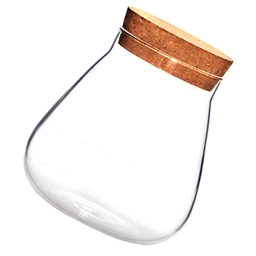 Supvox Glas Luft Pflanze Terrarium Blase Schüssel Handwerk Lagerung Jar Glas Pflanzer Supvox Glas Luft Pflanze Terrarium Blase Schüssel Handwerk Lagerung Jar Glas Pflanzer von Supvox