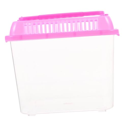 Supvox Schildkrötenbecken Tragbares Schildkrötenbecken Fütterungsbox Lebensraum für Reptilien Schildkrötenhalter Leichtes Design Supvox Schildkrötenbecken Tragbares Schildkrötenbecken Fütterungsbox Lebensraum für Reptilien Schildkrötenhalter Leichtes Design von Supvox