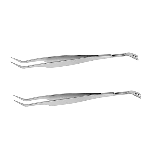 Supvox 2 Stück Entfernungsclip Pinzette Für Hundeclip Hundebehandlung Tragbare Pinzette Zeckenentfernungswerkzeug Edelstahl Clip Clip Supvox 2 Stück Entfernungsclip Pinzette Für Hundeclip Hundebehandlung Tragbare Pinzette Zeckenentfernungswerkzeug Edelstahl Clip Clip von Supvox