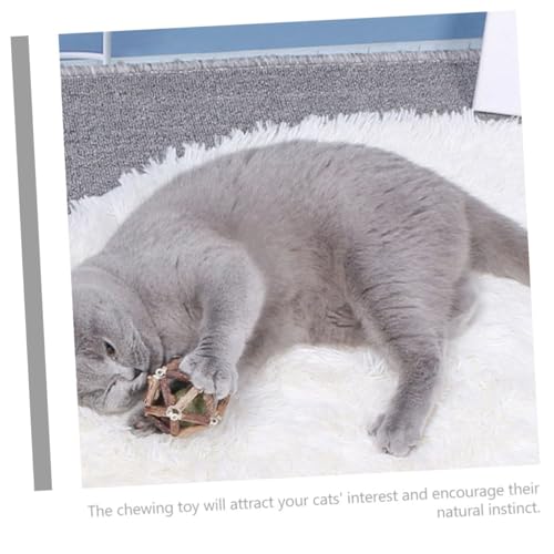 Supvox 2 Stück Natürliche Katzenminze Spielbälle für Katzenzahnpflege und Stressabbau Mittelgroße Kauspielzeuge zur Zahnreinigung und Verdauungsförderung Leichtes Indoor Katzenspielzeug von Supvox