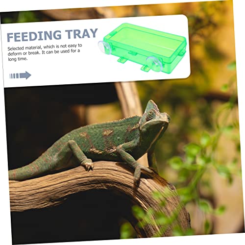 Supvox 2 Stück Reptilien Futternapf mit Glatter Oberfläche Vielseitige Futter und Wasserschale für Geckos Bartagamen und Andere Kriechtiere Leicht zu Reinigen aus Bruchsicherem Grün Klein von Supvox