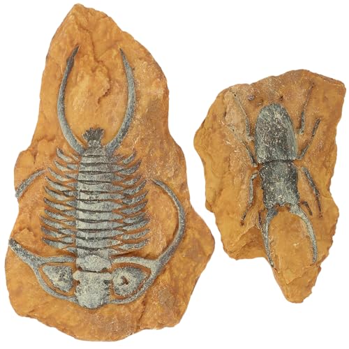 Supvox 2 Stück Simulierte Harzfossil Deko Reptilien Terrarium Landschaft Ornamente aus Langlebigem Geruchslosem Material Robust und Kippsicher Geeignet für Echsen Spinnen und Kleine von Supvox