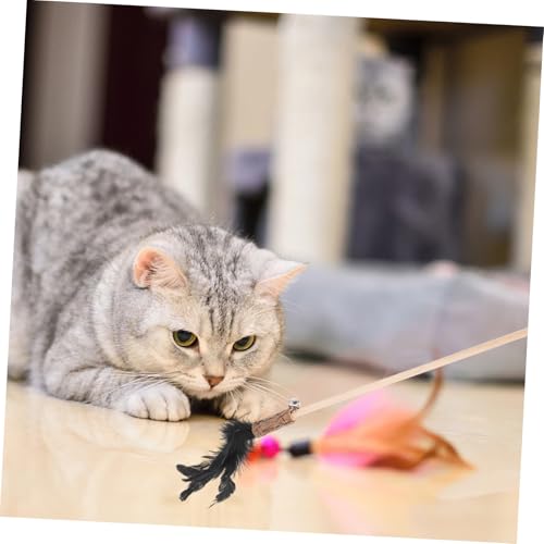 Supvox 2 Stück Teiliges Katzenspielzeug aus Holz mit Federn Interaktives Katzenangel für Drinnen Fördert Aktivität und Beschäftigung von Katzen und Kätzchen von Supvox