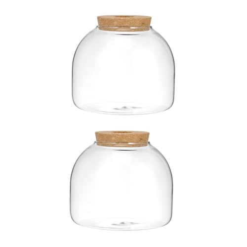 Supvox 2 Stück Terrarium mit Korkverschluss Kleines Hydroponik Pflanzengefäß für Micro Landschaften Transparentes Ökosystem Deko mit Einfacher Öffnung für Moos und Minigärten von Supvox