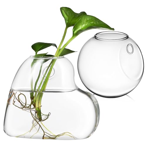 Supvox 2 Stück Wandhängende Glas-Terrarien-Pflanzgefäße: Transparente Anzuchtstationen Für Luftpflanzen Sukkulenten Und Hydrokulturen – Wandvasen Für Die Dekoration des Homeoffice Supvox 2 Stück Wandhängende Glas-Terrarien-Pflanzgefäße: Transparente Anzuchtstationen Für Luftpflanzen Sukkulenten Und Hydrokulturen – Wandvasen Für Die Dekoration des Homeoffice von Supvox