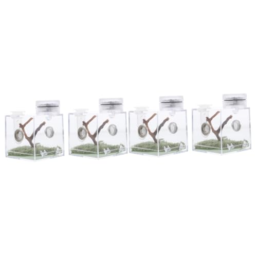 Supvox 2stücke Sprungspinnen-gehäuse Hochtransparent Mit Integrierter Lampe Für Haltung Von Spinnen Und Käfern Einfach Zu Reinigen Füttern Leicht Und Tragbar Für Terrarien Und Supvox 2stücke Sprungspinnen-gehäuse Hochtransparent Mit Integrierter Lampe Für Haltung Von Spinnen Und Käfern Einfach Zu Reinigen Füttern Leicht Und Tragbar Für Terrarien Und von Supvox