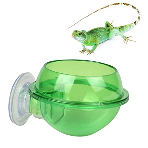 Supvox 2stücke Reptil Wasserfutterspender Kunststoff Saugnapf Wasserschale Fütterung Trinkwerkzeug Für Kleine Reptilien Schildkröten Eidechsen Supvox 2stücke Reptil Wasserfutterspender Kunststoff Saugnapf Wasserschale Fütterung Trinkwerkzeug Für Kleine Reptilien Schildkröten Eidechsen von Supvox