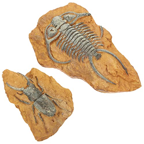 Supvox Reptilien- -Set 2-teilig Simulation Reptilienbox Ornamente Gecko-Landschaft Für Die Inneneinrichtung von Supvox