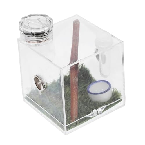 Supvox 2stücke Spider Habitat Box Für Kleine Spinnen Transport Und Futterbox Mit Integrierter Lampe Für Springspinnen Und Insekten Praktischer Futteröffnung Supvox 2stücke Spider Habitat Box Für Kleine Spinnen Transport Und Futterbox Mit Integrierter Lampe Für Springspinnen Und Insekten Praktischer Futteröffnung von Supvox