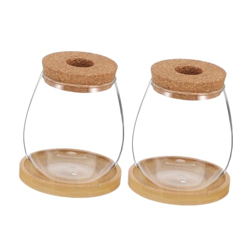 Supvox 2sätze Hydroponische Vase Aus Glas Mit Korkverschluss Und Bambusuntersetzer Für Sukkulenten Terrarienvasen Für Indoor-gartenbedarf von Supvox