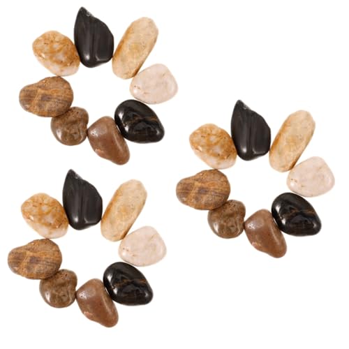 Supvox 3 Sätze Kopfsteinpflaster Pebble Blumentöpfe poolroborter kieswabe Dekorationen für Aquarien dekorative Aquarienkiesel Felsen draussen Yuhua-Stein Topfpflanze Kieselstein schmücken Supvox 3 Sätze Kopfsteinpflaster Pebble Blumentöpfe poolroborter kieswabe Dekorationen für Aquarien dekorative Aquarienkiesel Felsen draussen Yuhua-Stein Topfpflanze Kieselstein schmücken von Supvox