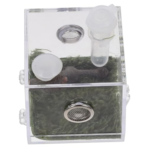 Supvox 3 Stück Box Springspinne Zuchtbox Kleine Spinne Tank Zuchtbehälter Reptilienspinnen Gehege Tank Vogelspinne Gehege Heimtierbedarf Springspinne Terrarium Inkubator Acryl Supvox 3 Stück Box Springspinne Zuchtbox Kleine Spinne Tank Zuchtbehälter Reptilienspinnen Gehege Tank Vogelspinne Gehege Heimtierbedarf Springspinne Terrarium Inkubator Acryl von Supvox