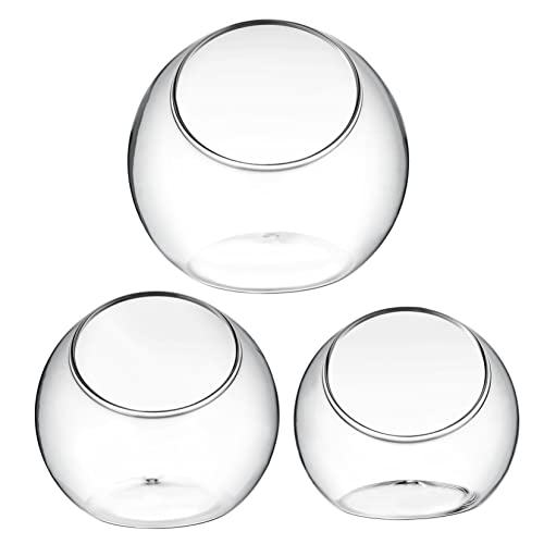 Supvox 3 Stück Glasvase für Pflanzen Teiliges Terrarium Behälter Dekorative Gläser für Sukkulenten und Luftpflanzen für Innenbereich Supvox 3 Stück Glasvase für Pflanzen Teiliges Terrarium Behälter Dekorative Gläser für Sukkulenten und Luftpflanzen für Innenbereich von Supvox