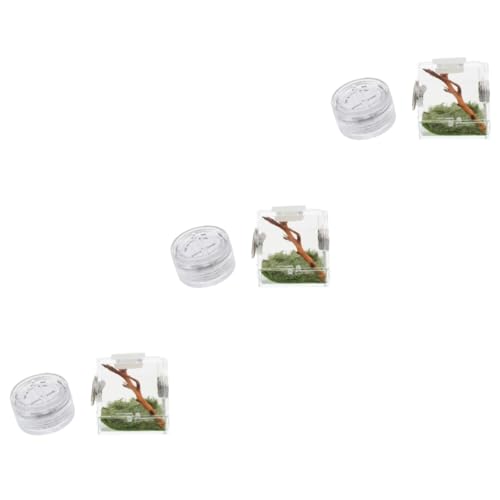 Supvox 3stücke Springende Spinnen Habitat Box Mit Lampe Hochtransparente Aufbewahrungsbox Für Springspinnen Lampe Und Fütterungsöffnung Für Spinnen Und Kleine Reptilien Supvox 3stücke Springende Spinnen Habitat Box Mit Lampe Hochtransparente Aufbewahrungsbox Für Springspinnen Lampe Und Fütterungsöffnung Für Spinnen Und Kleine Reptilien von Supvox