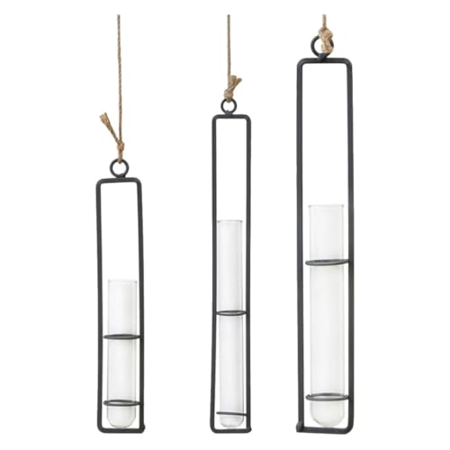 Supvox Wandaufhänger Für Den Innenbereich 3 Stück Hydrokulturpflanze Glas Blumentopf Eisengestell Für Gründekor Supvox Wandaufhänger Für Den Innenbereich 3 Stück Hydrokulturpflanze Glas Blumentopf Eisengestell Für Gründekor von Supvox