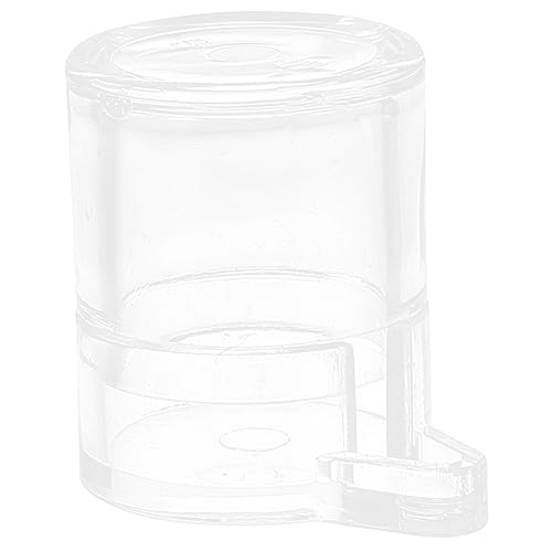 Supvox 3stücke Ameisen Wasserspender Praktische Tränke Für Ameisen Transparenter Futterbehälter Für Ant Nest Trinksystem Für Haustierameisen Supvox 3stücke Ameisen Wasserspender Praktische Tränke Für Ameisen Transparenter Futterbehälter Für Ant Nest Trinksystem Für Haustierameisen von Supvox