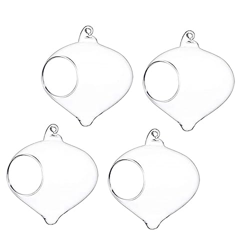 Supvox 4 Stück Vasenpflanzen Pflanzenhänger Sukkulentenvase Indoor Gartenhalter Hängendes Sukkulenten Terrarium Hängepflanzen Terrarium Transparentes Borosilikatglas von Supvox