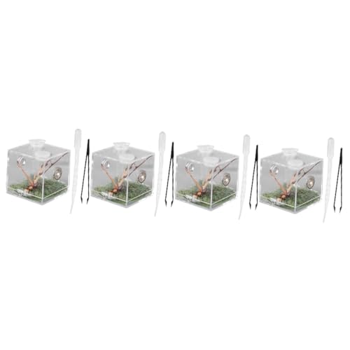 Supvox 4stücke Reptilien Zuchtbox Mit Belüftung Transparente Terrarien Für Springspinnen Insekten Und Kleine Reptilien Futter Und Transportbehältnis Hochwertiges Design Für Pflege Supvox 4stücke Reptilien Zuchtbox Mit Belüftung Transparente Terrarien Für Springspinnen Insekten Und Kleine Reptilien Futter Und Transportbehältnis Hochwertiges Design Für Pflege von Supvox