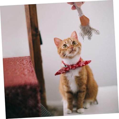 Supvox 5 Stück Teiliges Katzen kauspielzeug Katzenminze rute mit Federn Interaktives Katzenspielzeug für Wohnungskatzen zur Mundreinigung und Aktivitätsförderung von Supvox