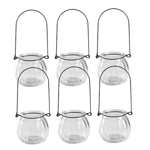 Supvox 6 Montierte Glas-luftpflanzenhalter Zimmerpflanzen Home-Office- von Supvox