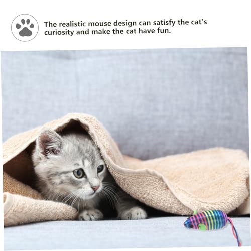 Supvox 6 Stück Teiliges Katzenspielzeug Bissfestes Interaktives Katzenspielzeug zur Stressreduktion Natürliche Kätzchenspielzeug Mäuse für Katzen Langlebig und Spielerisch Gemischt von Supvox