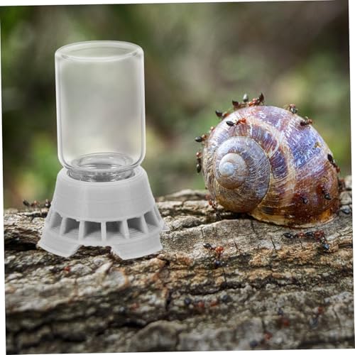 Supvox Ameisen Wasserschale Klein Transparent Antenwasser Futterspender Einfach zu Bedienen für Ameisenhalter und Reptilien Haustier Trinkschale Zufällige Farbe Zufällige Farbe Supvox Ameisen Wasserschale Klein Transparent Antenwasser Futterspender Einfach zu Bedienen für Ameisenhalter und Reptilien Haustier Trinkschale Zufällige Farbe Zufällige Farbe von Supvox