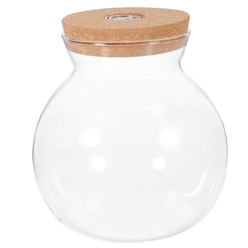 Supvox Aquarium Aus Glasflaschen Mit Led-Licht – Rundes Mini-Aquarium Für Kampffische Mikrolandschaft Schreibtischdekoration Und Hydrokultur-Pflanzenterrarium (3) von Supvox
