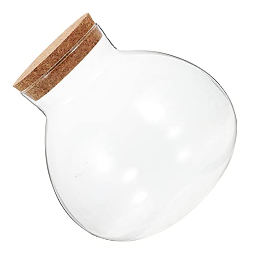 Supvox Dekorative Glaskugel Terrarium Mit Korkverschluss Runde Ökologische Flasche Für Miniaturgärten Pflanzen Und Kreative Deko-Ideen Ohne Beleuchtung Supvox Dekorative Glaskugel Terrarium Mit Korkverschluss Runde Ökologische Flasche Für Miniaturgärten Pflanzen Und Kreative Deko-Ideen Ohne Beleuchtung von Supvox