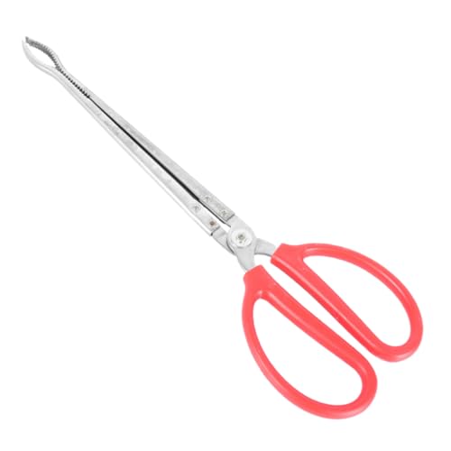 Supvox Fütterungszange für Reptilien aus rostfreiem Metall Gebogenes Ende Rutschfestes Futterwerkzeug für Echsen Schildkröten Präzise Handhabung Vielseitig und Robust von Supvox