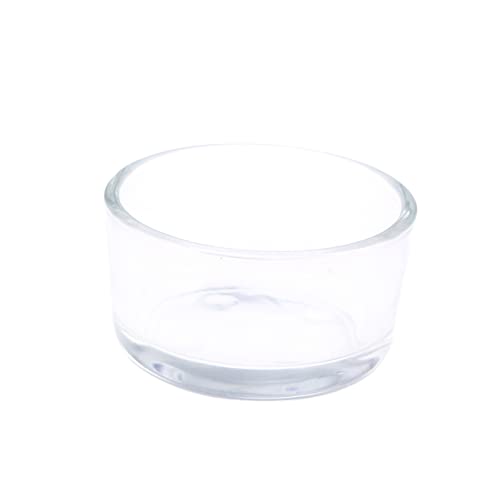 Supvox Glasschale Für Reptilien Futterbecken Für Reptilien Futternapf Aus Glas Glatt Für Einfache Reinigung von Supvox