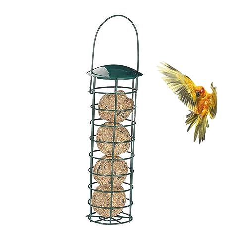 Supvox Hängende Vogeltränke Aus Metall Futter- Tränenschüssel Für Papageien Und Kleine Vögel Einfacher Und Dekorativer Futternapf Für Garten Und Terrasse Leichte Reinigung Und Supvox Hängende Vogeltränke Aus Metall Futter- Tränenschüssel Für Papageien Und Kleine Vögel Einfacher Und Dekorativer Futternapf Für Garten Und Terrasse Leichte Reinigung Und von Supvox