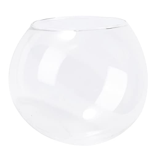 Supvox Glasnest Für Hamster Kleintierkäfig Kühlung Funktion Haustier Toilette Für Chinchilla Meerschweinchen Und von Supvox