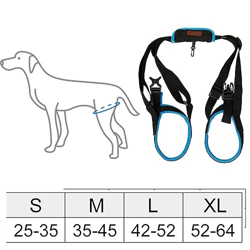 Supvox Safety Lift Suort Walk-Gurte Für Hunde Hilfsband Für Ältere Hunde Mit Behinderten Oder Verletzten Hinterbeinen Größe XL Haustiergurte Mit Angenehmem Material von Supvox