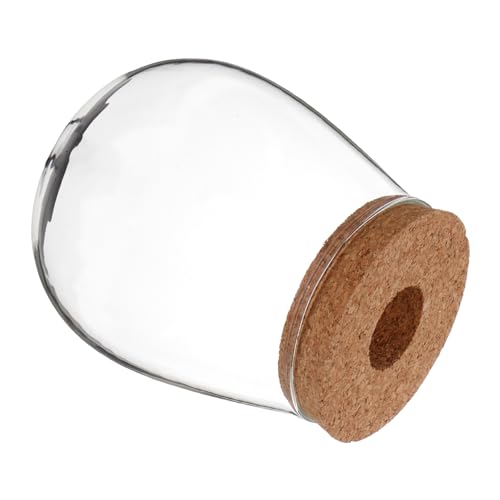 Supvox Moderne Transparente Glasvase Für Hydroponikpflanzen Kleiner Terrarium Pflanzhalter Aus Klarem Glas Für Tischdekoration Und Kreative Raumgestaltung Für Wasserpflanzen Und Supvox Moderne Transparente Glasvase Für Hydroponikpflanzen Kleiner Terrarium Pflanzhalter Aus Klarem Glas Für Tischdekoration Und Kreative Raumgestaltung Für Wasserpflanzen Und von Supvox