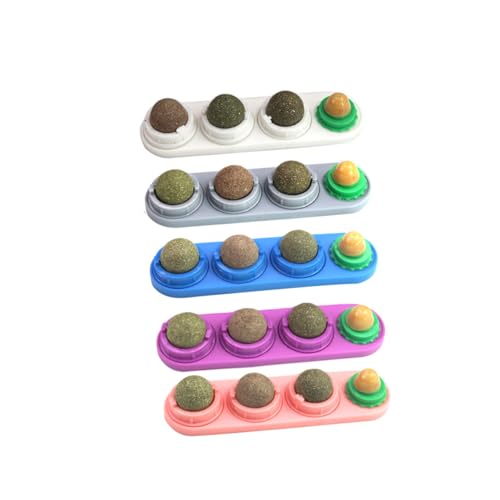 Supvox Spielzeug Bürste Haustier Katzenspielzeug Haustier Spielspielzeug Katze Interaktives Spielzeug Katzenspielzeug Supvox Spielzeug Bürste Haustier Katzenspielzeug Haustier Spielspielzeug Katze Interaktives Spielzeug Katzenspielzeug von Supvox