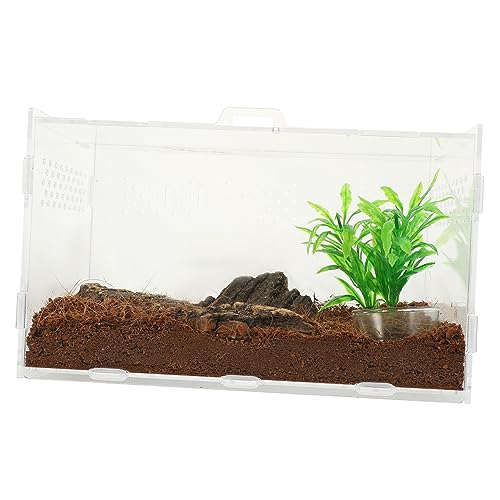 Supvox Kleines Reptilien Gehäuse aus Transparent für Spinnen Geckos und Kleine Schildkröten Teiligem Zubehörset Wetterbeständig und Langlebig Supvox Kleines Reptilien Gehäuse aus Transparent für Spinnen Geckos und Kleine Schildkröten Teiligem Zubehörset Wetterbeständig und Langlebig von Supvox