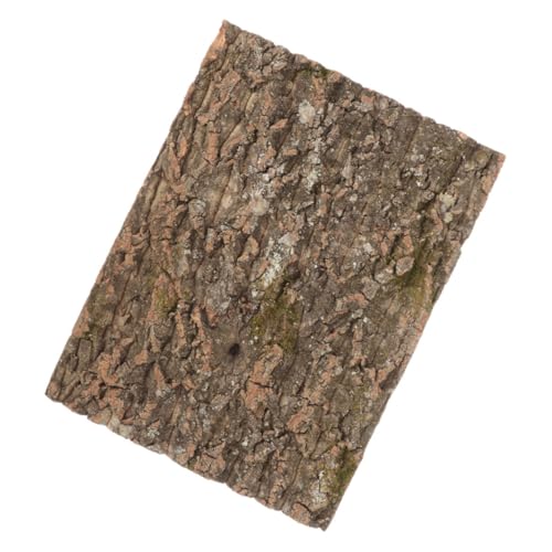 Supvox Klettern Pet Box Hintergrundbrett Katzenkäfig Futterspender Für Reptilien Kiste Reptilienterrarium Geckobecken Thermometer Für Reptilienbecken Reptilien-heizkissen Haken Korkplatte Supvox Klettern Pet Box Hintergrundbrett Katzenkäfig Futterspender Für Reptilien Kiste Reptilienterrarium Geckobecken Thermometer Für Reptilienbecken Reptilien-heizkissen Haken Korkplatte von Supvox