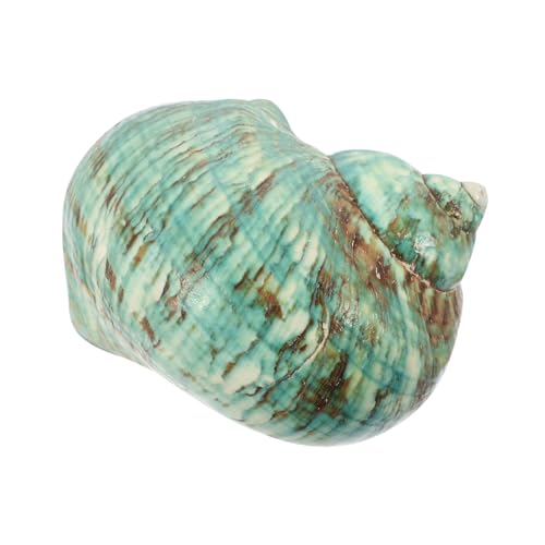 Supvox Natürliche Grüne Conch Muschel Dekoration Groß Umweltfreundlich Langlebig für Aquarium Fischbecken DIY Landschaft Strand Party Zubehör Supvox Natürliche Grüne Conch Muschel Dekoration Groß Umweltfreundlich Langlebig für Aquarium Fischbecken DIY Landschaft Strand Party Zubehör von Supvox