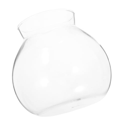 Supvox Ökologische Mikrolandschaftsflasche Anlage empfindlich Tank Pflanzen Kugeln für deckenventilatoren Fischschalen für Tafelaufsätze Glas mit hohem Borosilikatgehalt Transparent Supvox Ökologische Mikrolandschaftsflasche Anlage empfindlich Tank Pflanzen Kugeln für deckenventilatoren Fischschalen für Tafelaufsätze Glas mit hohem Borosilikatgehalt Transparent von Supvox
