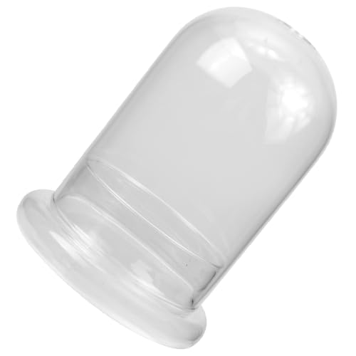 Supvox Glas Moos Pflanze Flasche Pflanze Terrarium Glas Microlandscape Flasche Für Home Decor von Supvox