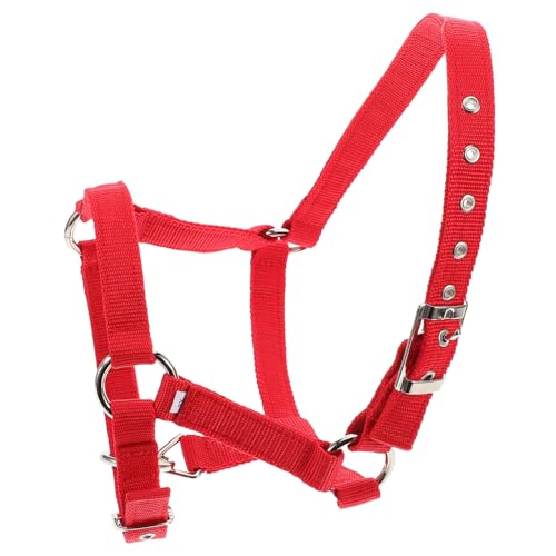 Supvox Pferde Halfter Set für Verstellbares Gepolstertes Nylon Halfter mit Sicherungsfunktion für Ausbildung Junger Reiter Langlebig und Einfach zu Handhaben Supvox Pferde Halfter Set für Verstellbares Gepolstertes Nylon Halfter mit Sicherungsfunktion für Ausbildung Junger Reiter Langlebig und Einfach zu Handhaben von Supvox