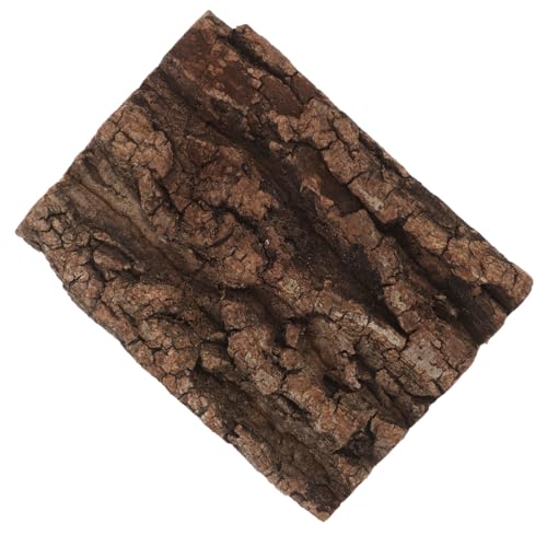 Supvox Reptile Terrarium Korkrinde Hintergrund Naturbaumrinde Dekoration für Geckos Echsen Spinnen und Schildkröten Pflegeleichtes Habitat Zubehör für Ansprechende Tierhaltung Supvox Reptile Terrarium Korkrinde Hintergrund Naturbaumrinde Dekoration für Geckos Echsen Spinnen und Schildkröten Pflegeleichtes Habitat Zubehör für Ansprechende Tierhaltung von Supvox